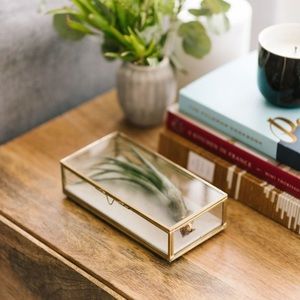 West Elm Glass Shadow Box Rectangle Small Gold